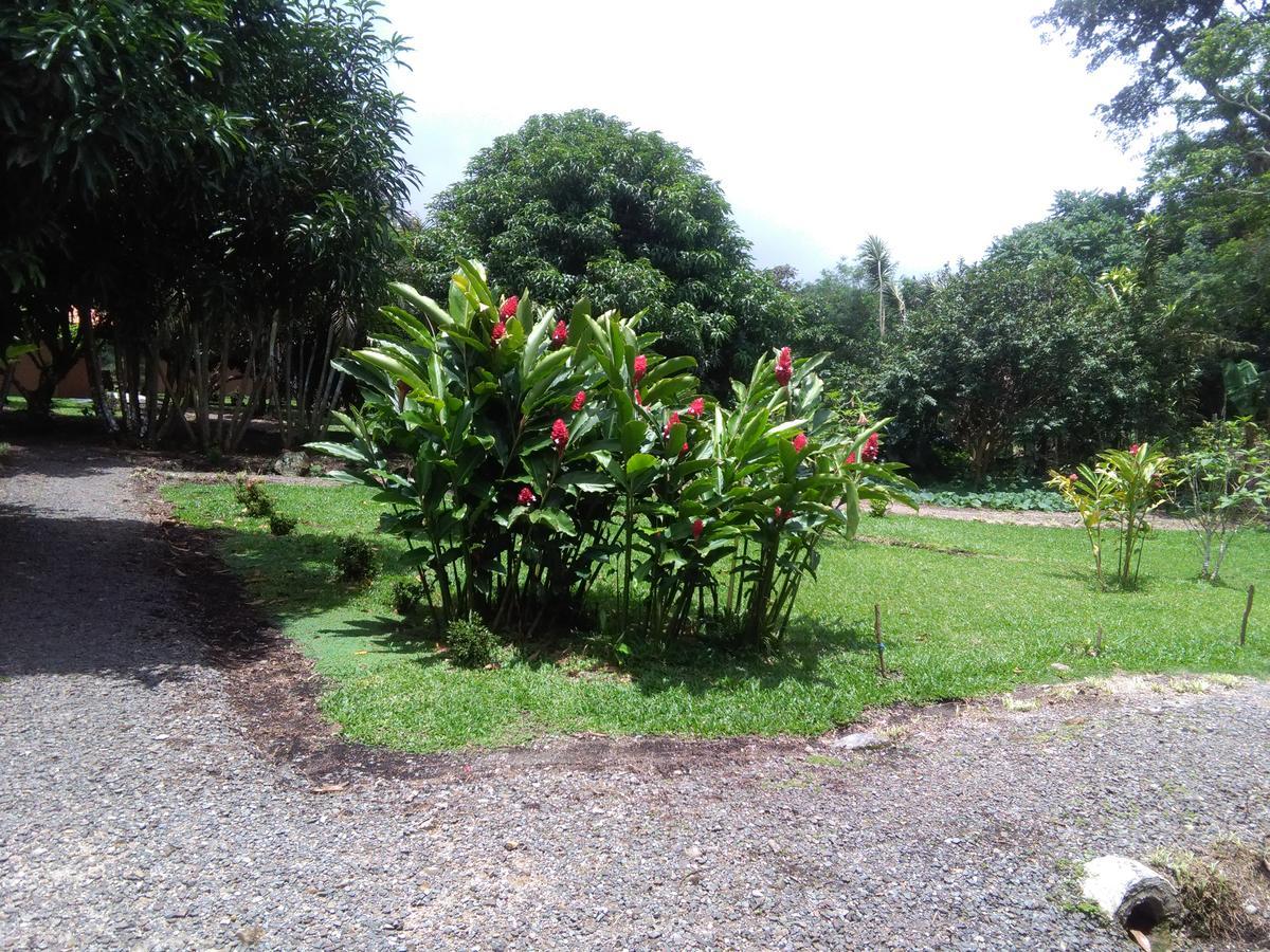 Paraiso Volcano Lodge Guayabo  Exterior foto